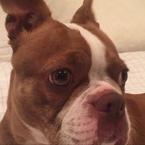 Meet your Posher, Jamie